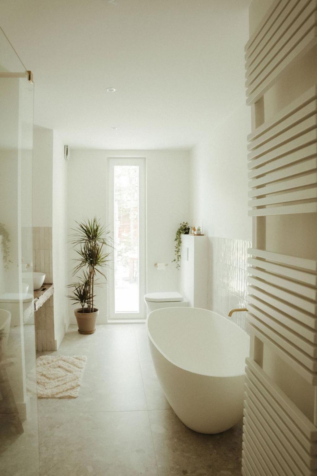 De Wilden Ezel Bed & Breakfast Mol Ngoại thất bức ảnh